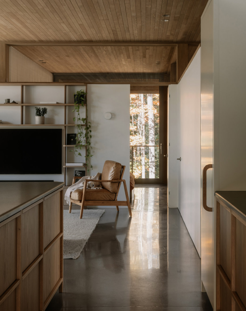 Photos 14 (Perchée)