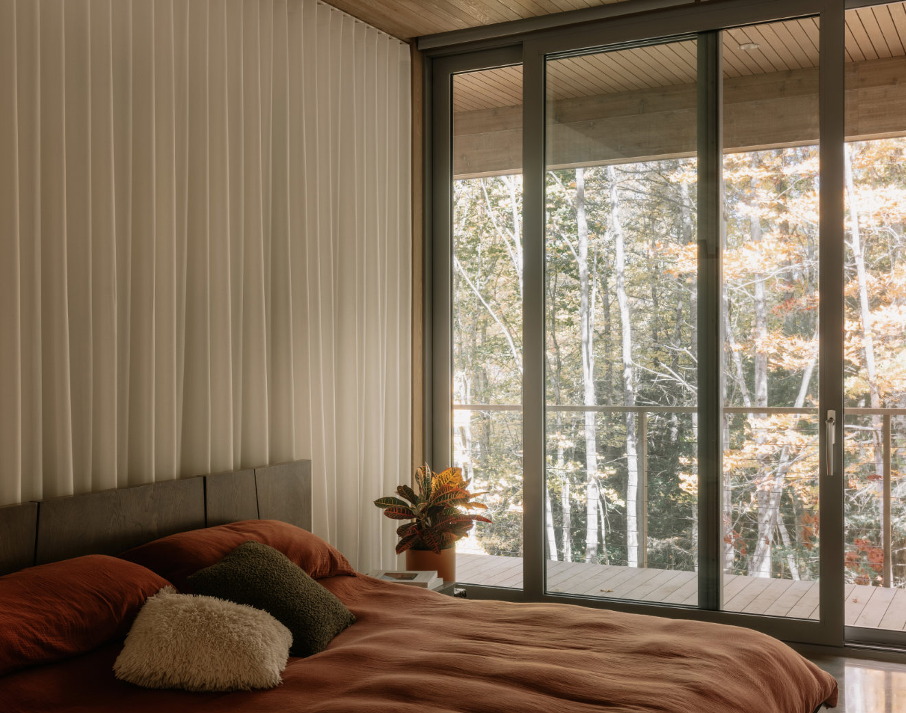 Photos 17 (Perchée)