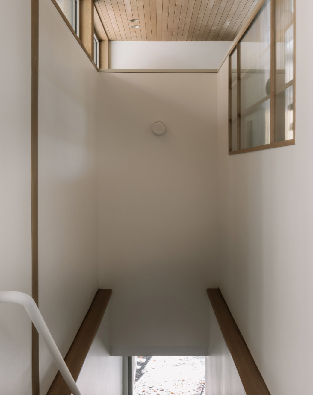 Photos 24 (Perchée)