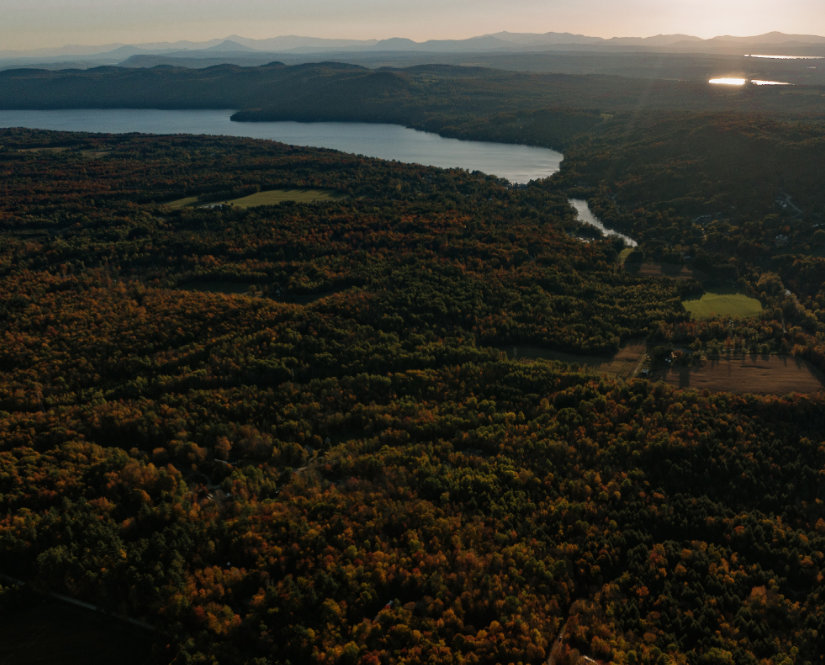 Photos 25 (Perchée)