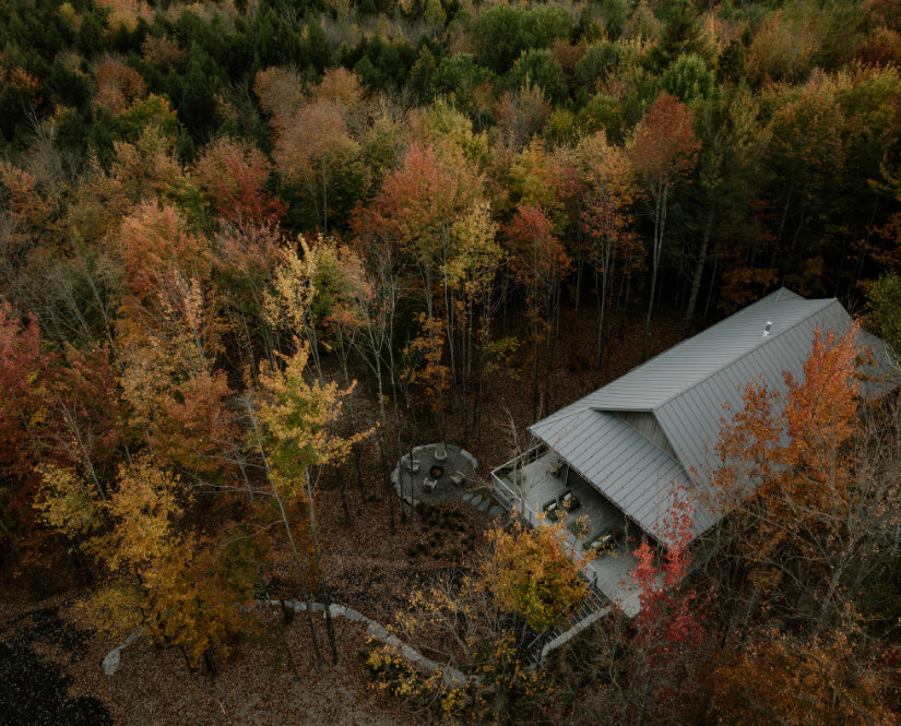 Photos 10 (Perchée)