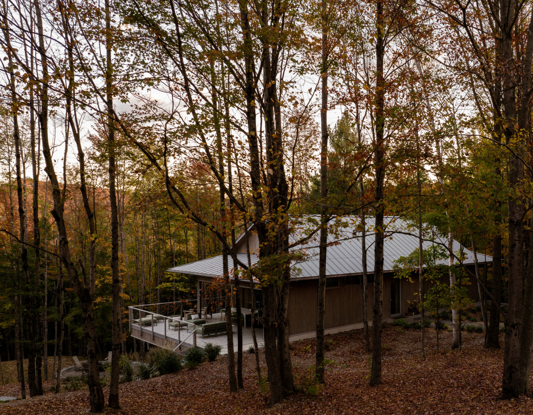 Photos 11 (Perchée)