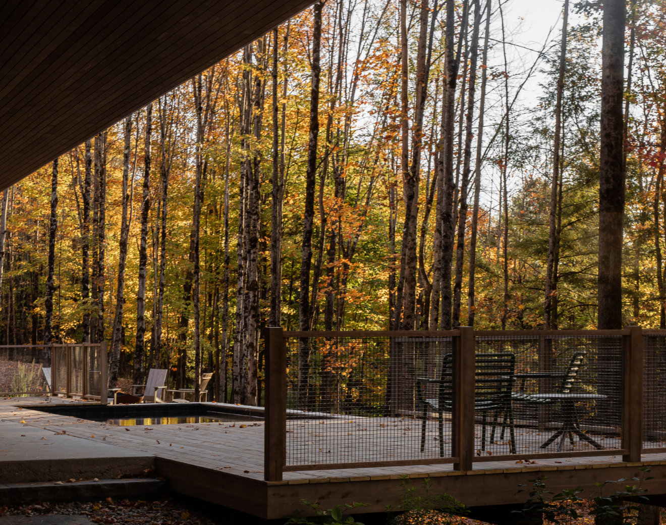 Photos 12 (Perchée)