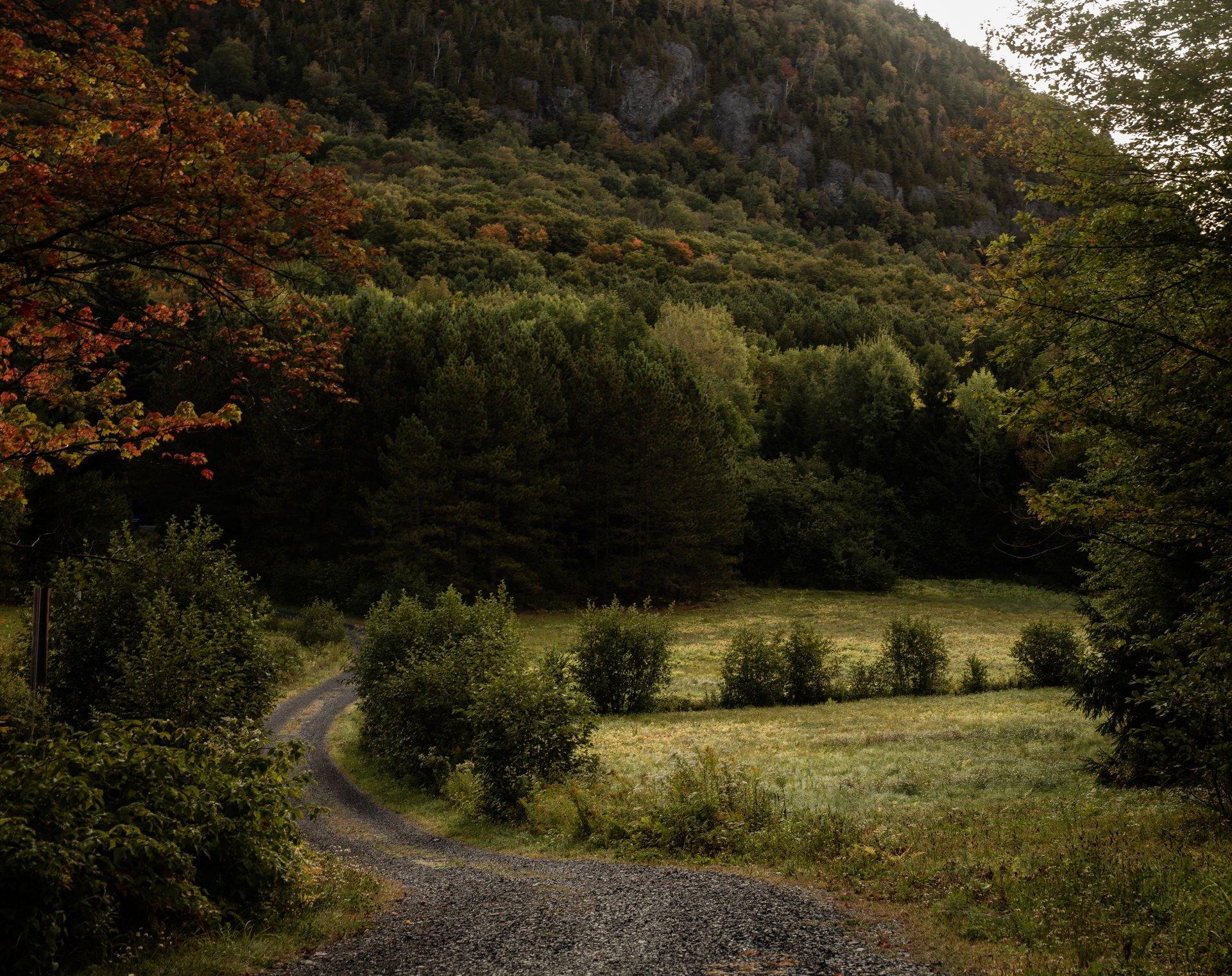 Le Plateau — 07