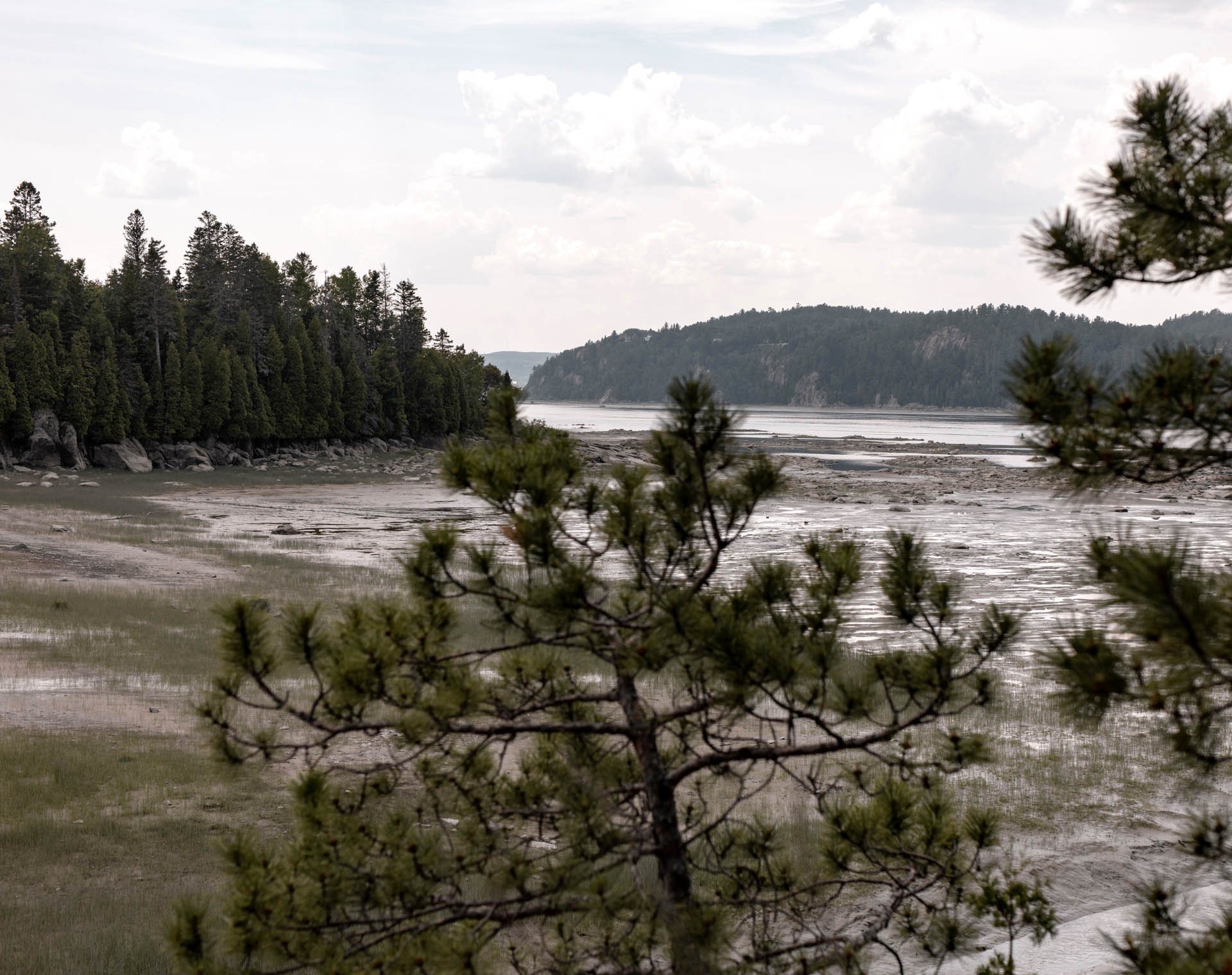 Sur le Ruisseau — 23